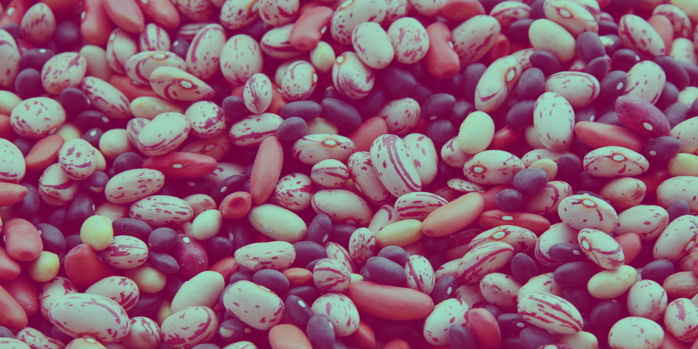 Bean Gastronomy Seminar