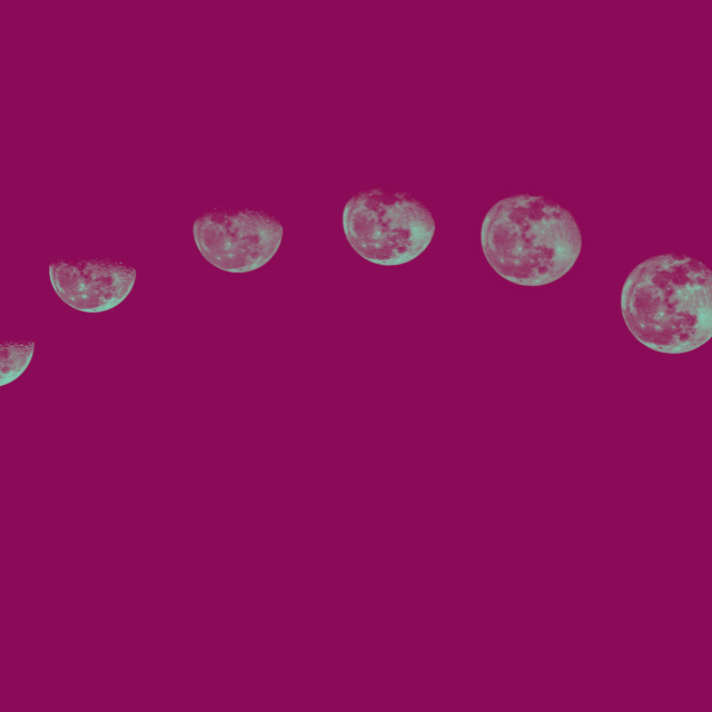 Pierrot Lunaire / Below the Moonlight